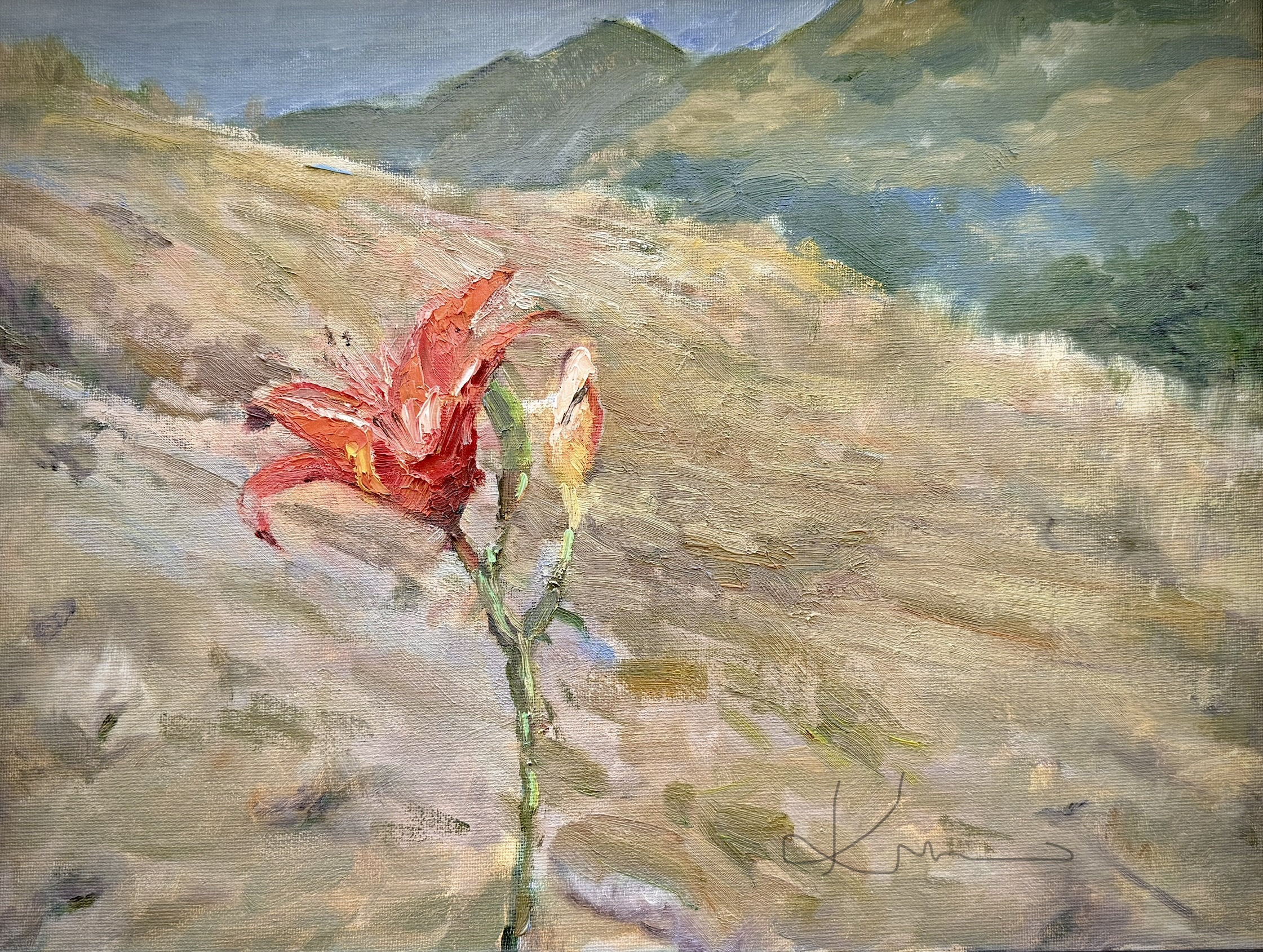 Mountain Lily