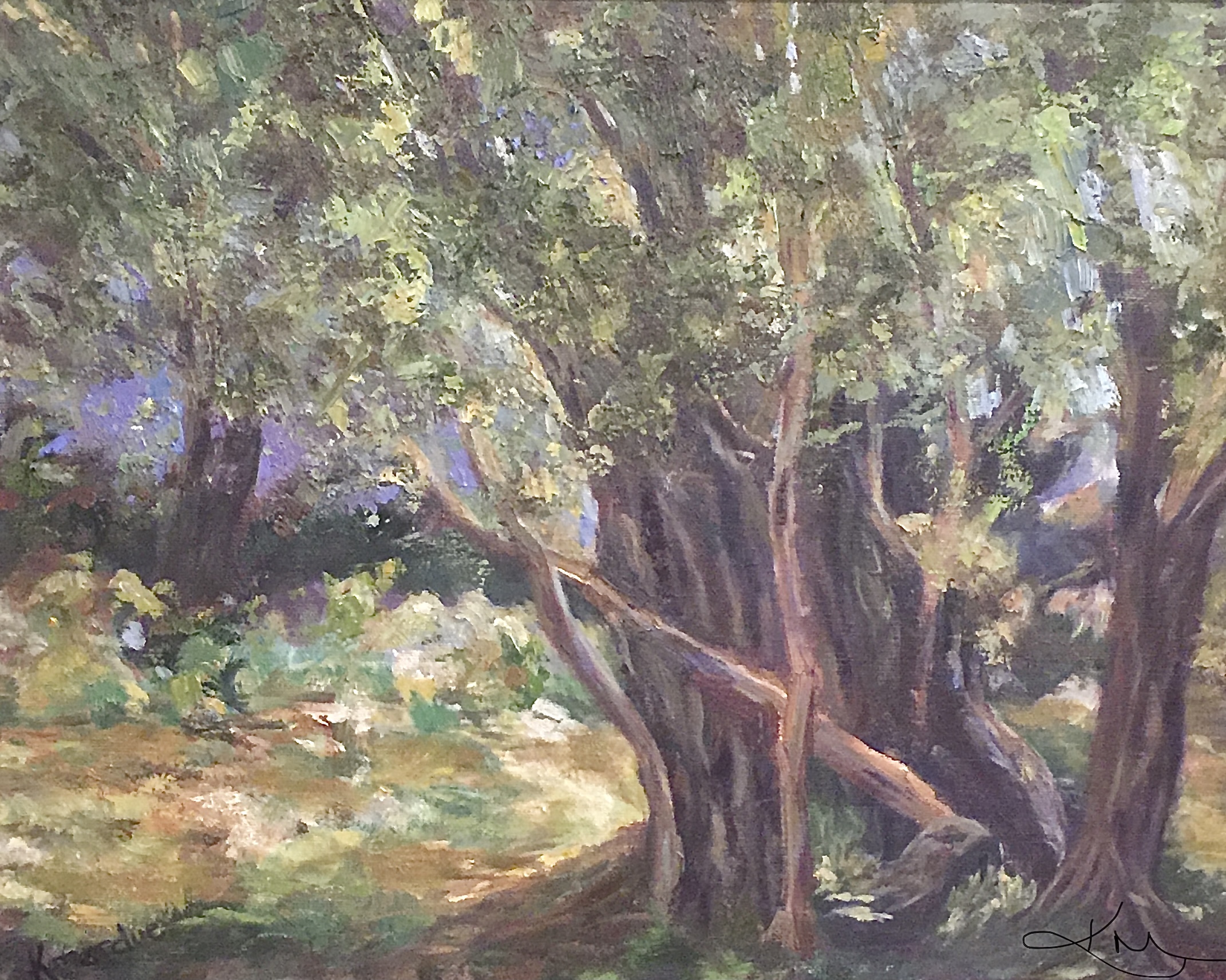 Olive Tree